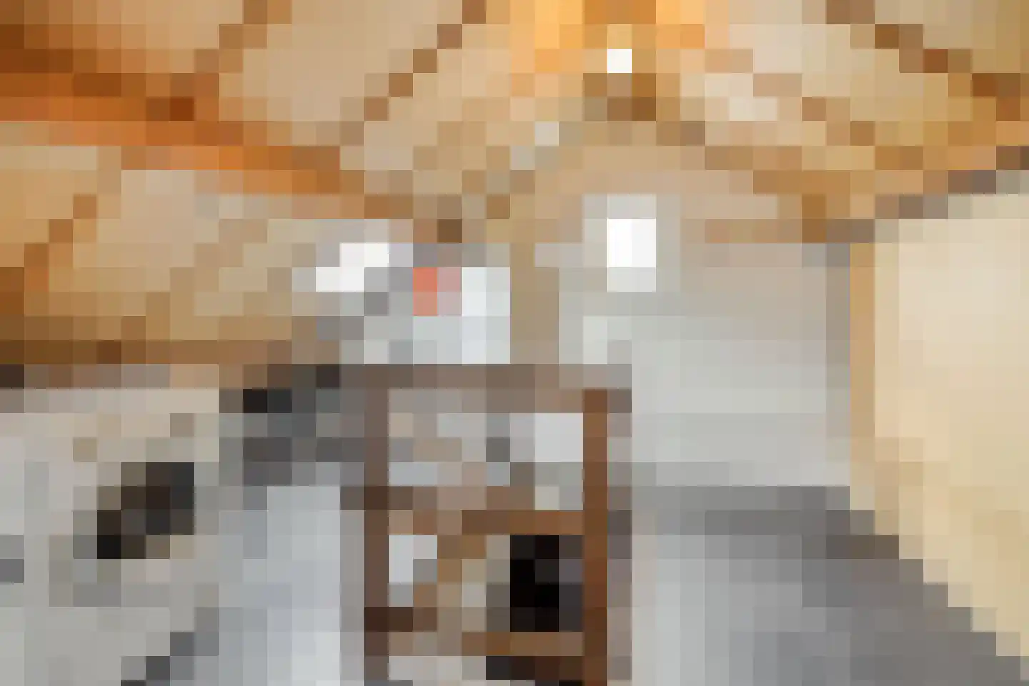 Torenstraat 4 a Helvoirt thumbnail 27