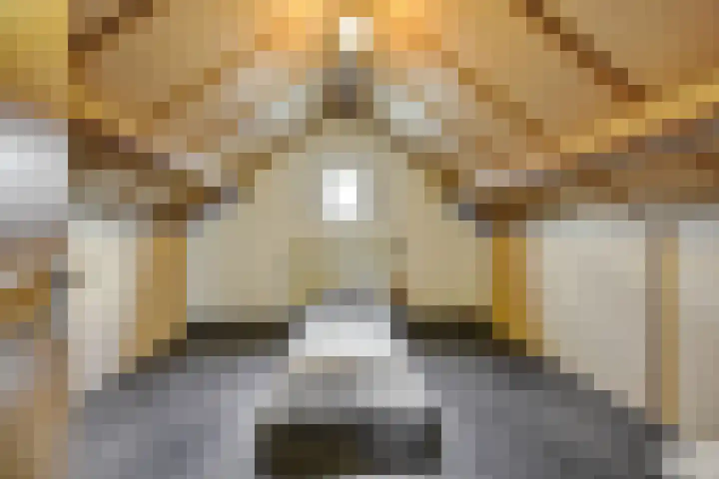 Torenstraat 4 a Helvoirt thumbnail 29