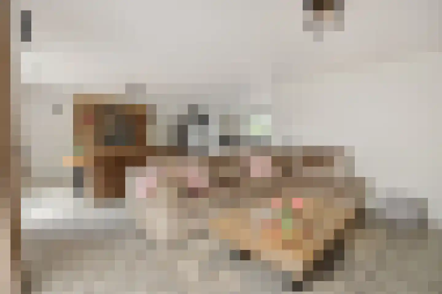 Torenstraat 4 a Helvoirt thumbnail 7