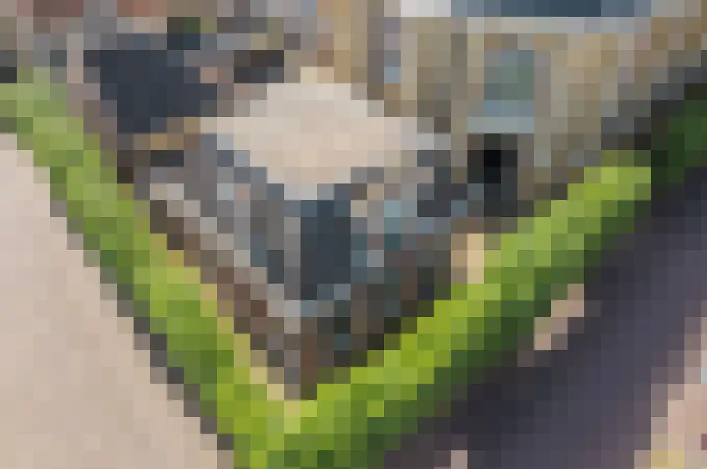 Torenstraat 4 Joure thumbnail 18