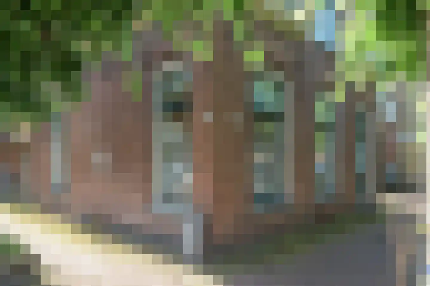 Torenstraat 4 Joure thumbnail 19