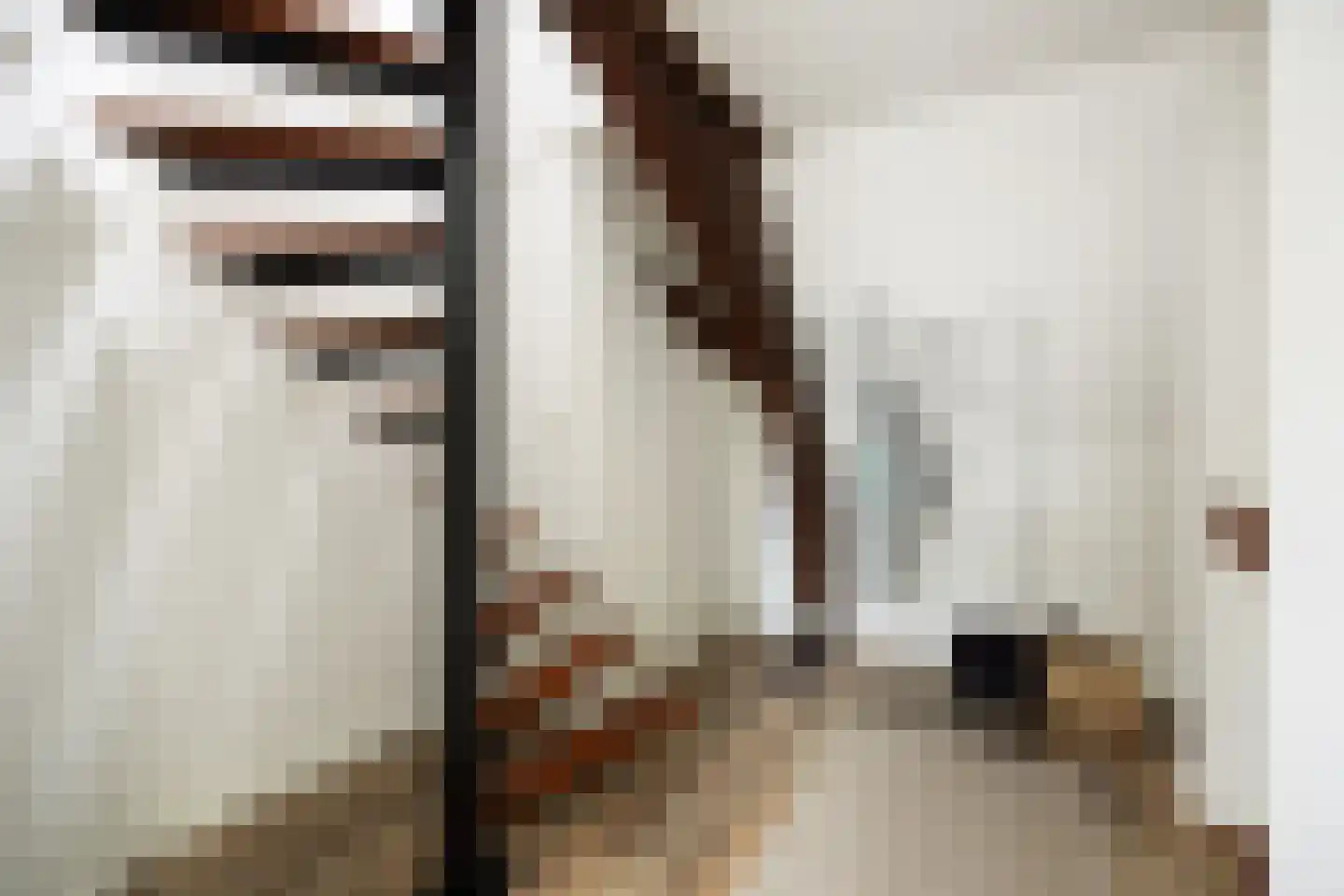 Torenstraat 4 's-Hertogenbosch thumbnail 14