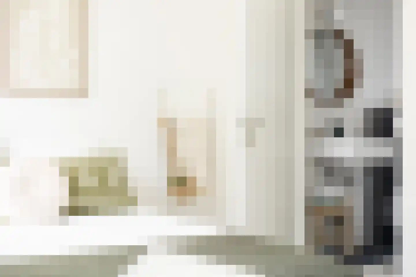 Torenstraat 4 's-Hertogenbosch thumbnail 18