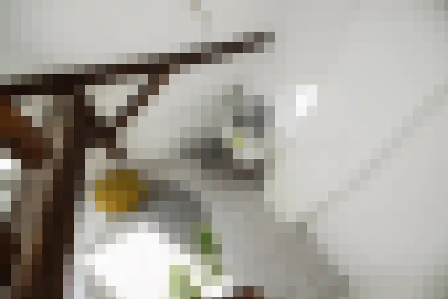 Torenstraat 4 's-Hertogenbosch thumbnail 21