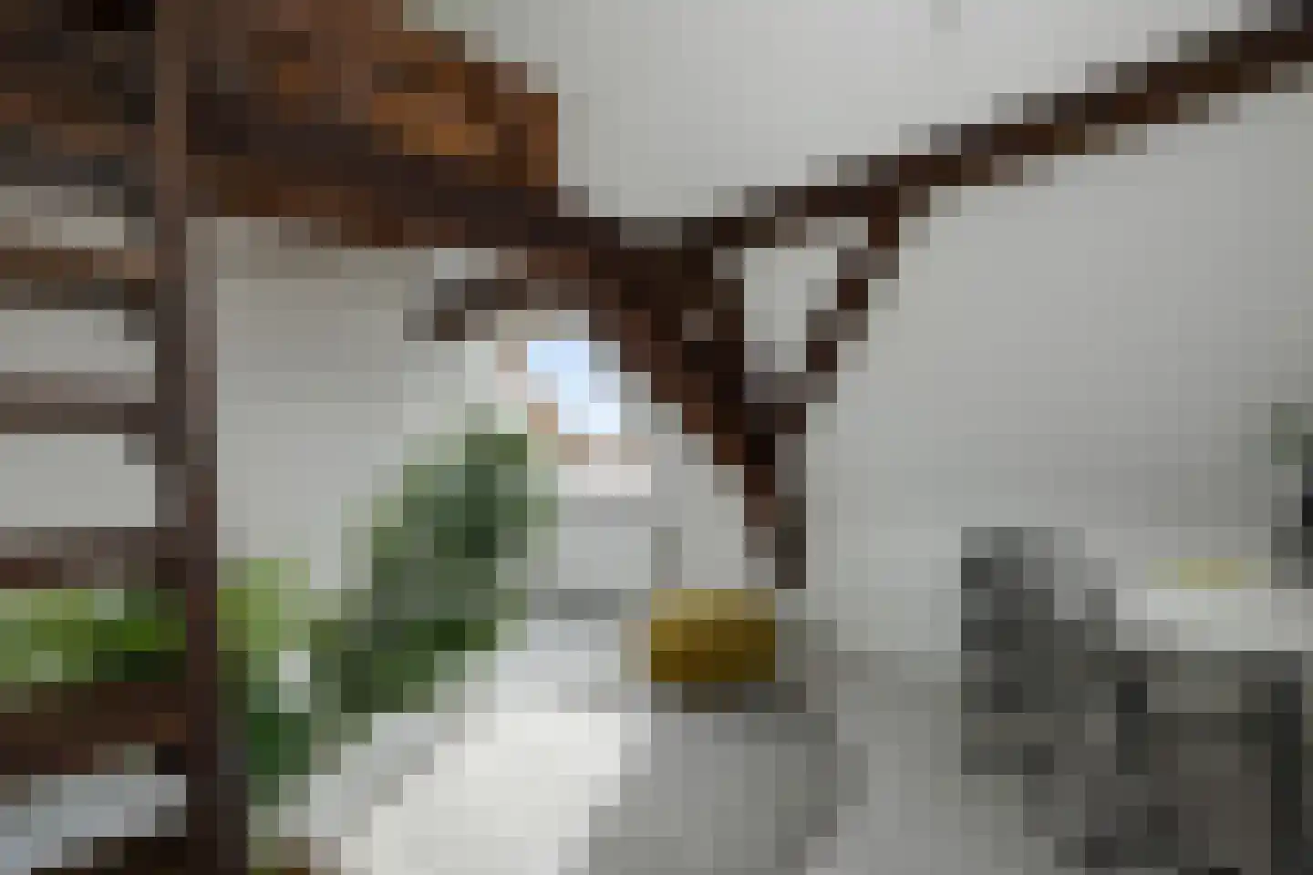 Torenstraat 4 's-Hertogenbosch thumbnail 23