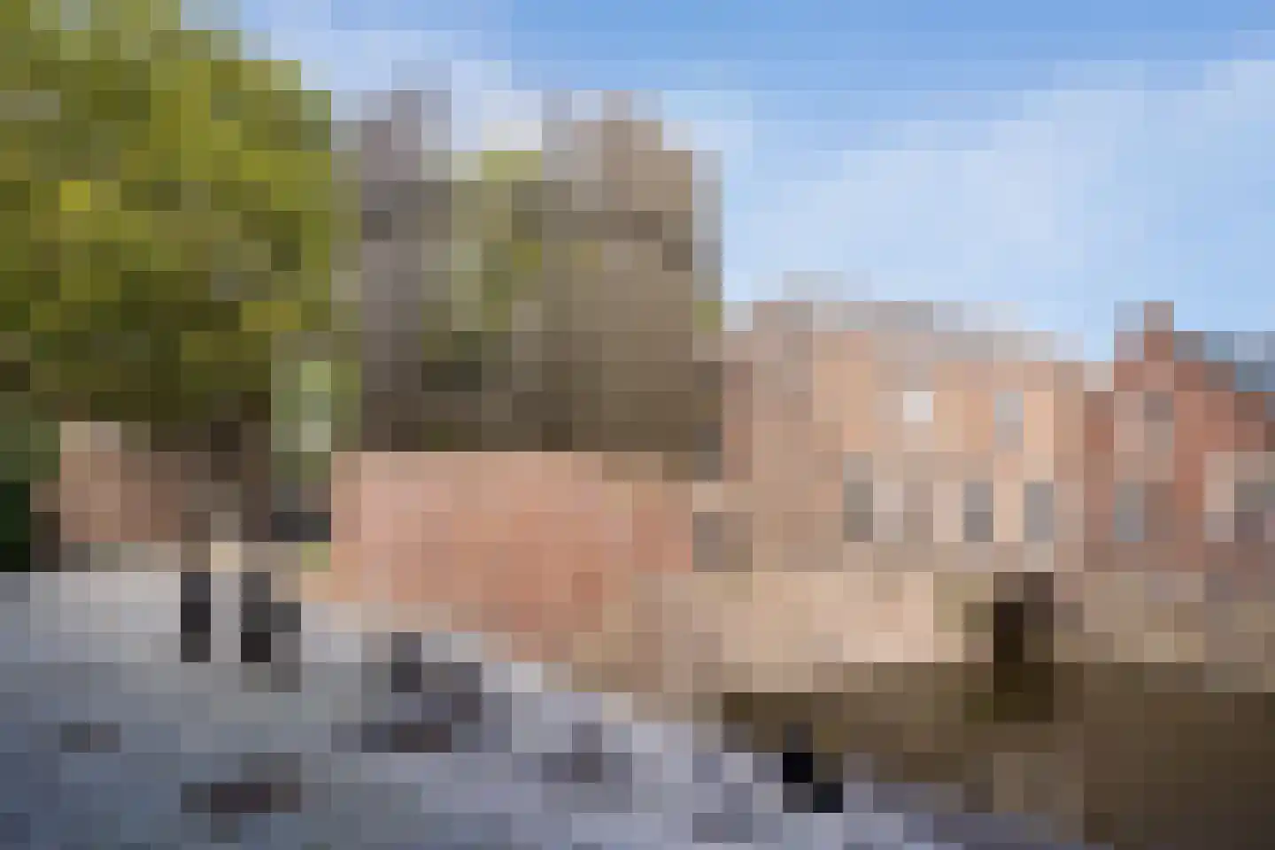 Torenstraat 4 's-Hertogenbosch thumbnail 32
