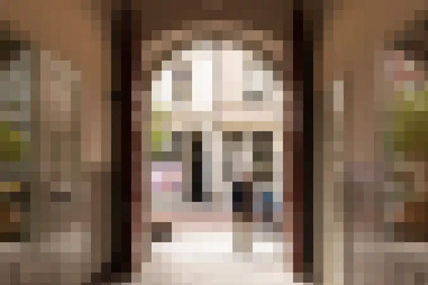 Torenstraat 4 's-Hertogenbosch thumbnail 33