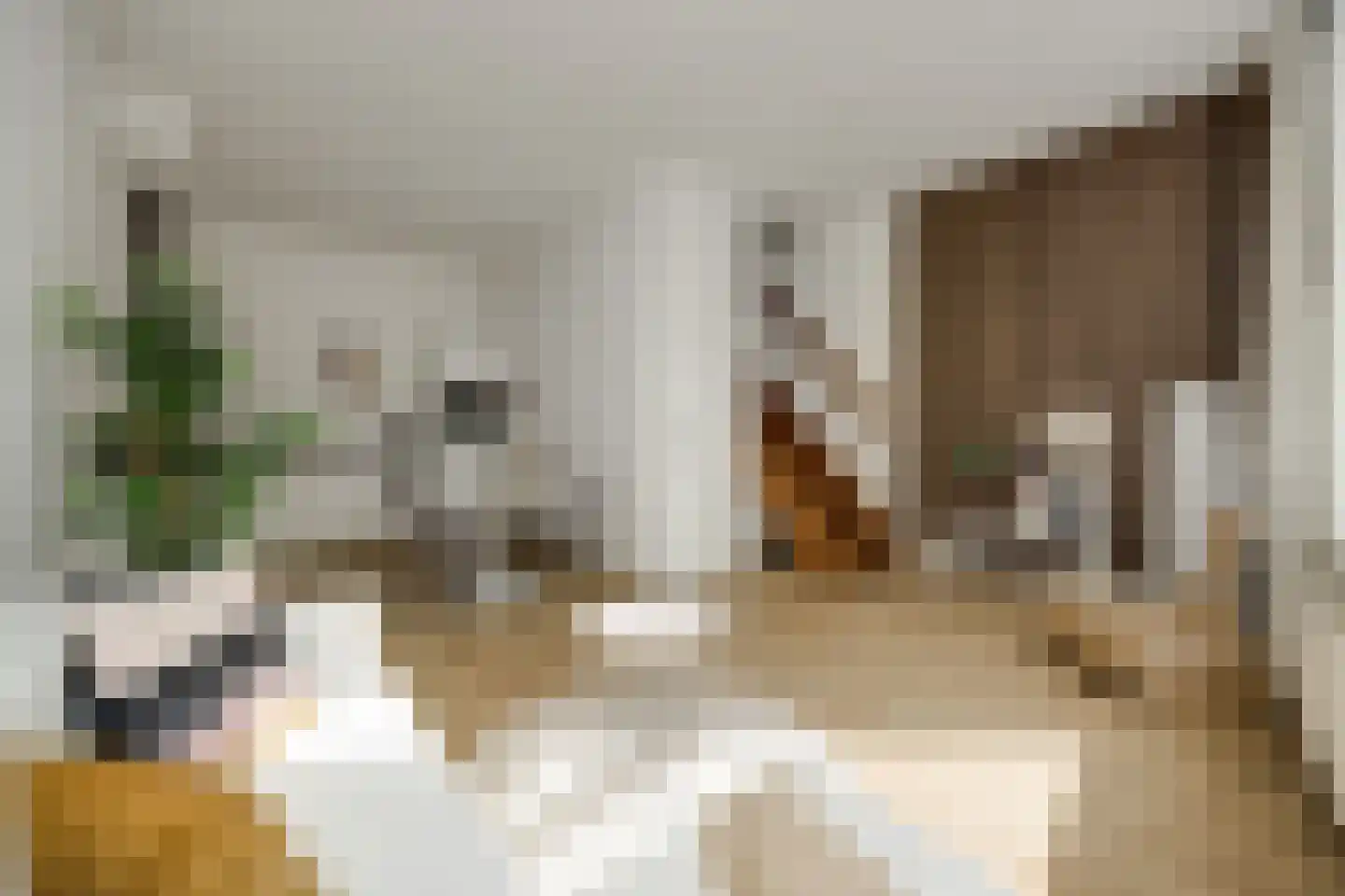 Torenstraat 4 's-Hertogenbosch thumbnail 4