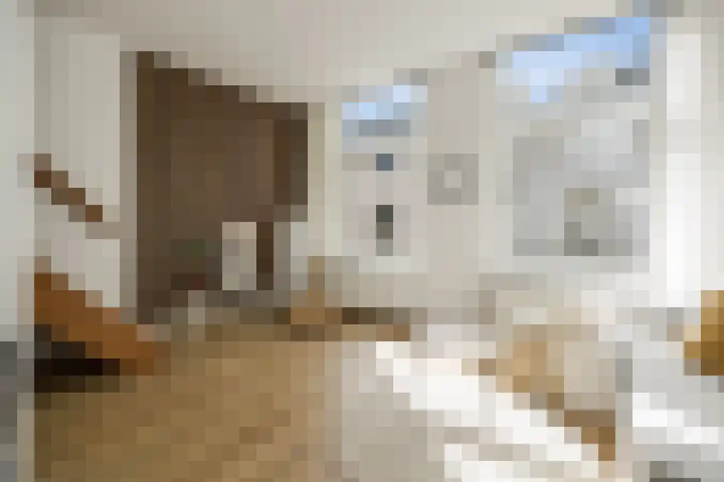 Torenstraat 4 's-Hertogenbosch thumbnail 5