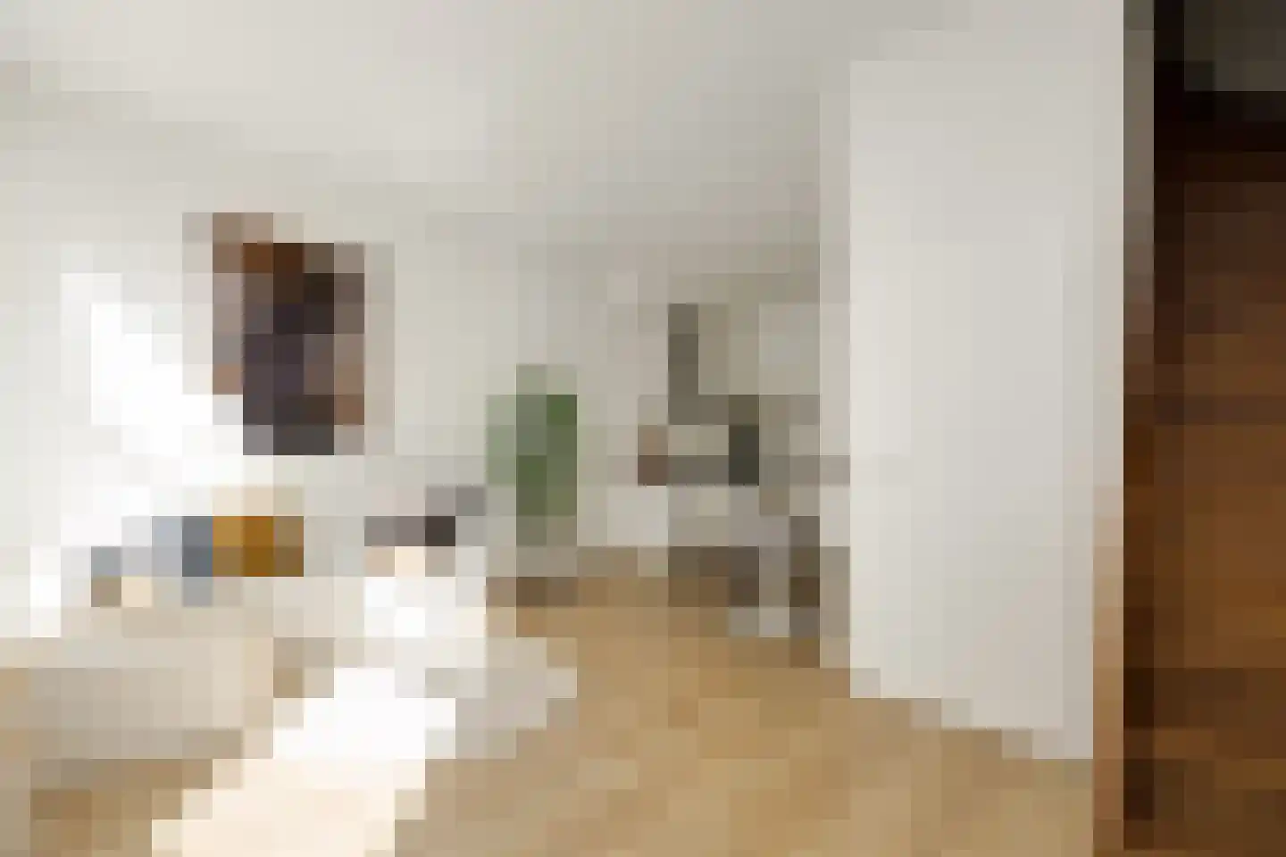 Torenstraat 4 's-Hertogenbosch thumbnail 6