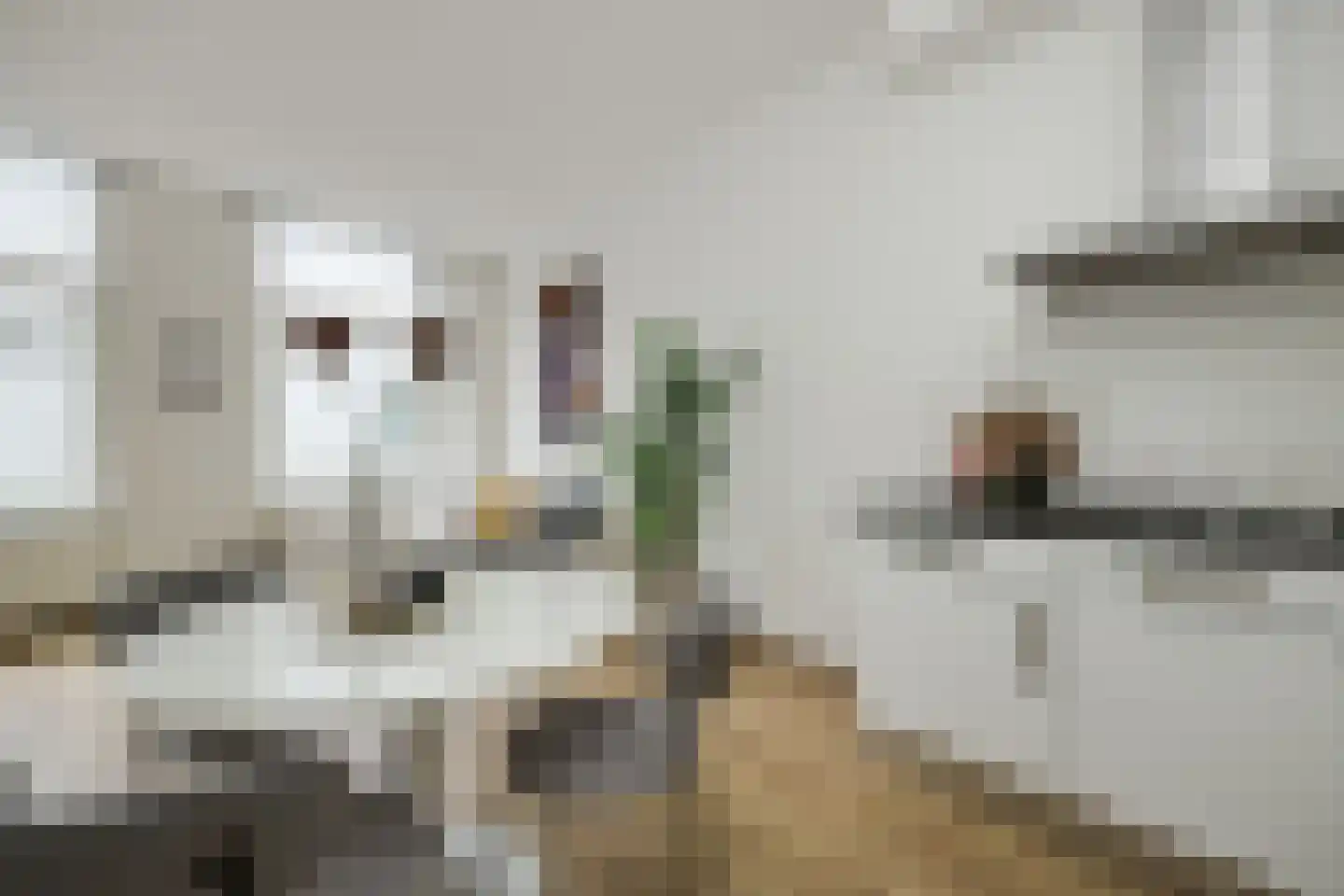 Torenstraat 4 's-Hertogenbosch thumbnail 9
