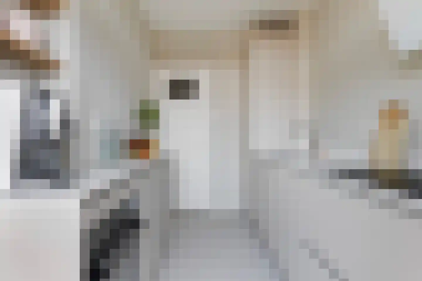 Torenstraat 41 Dordrecht thumbnail 15