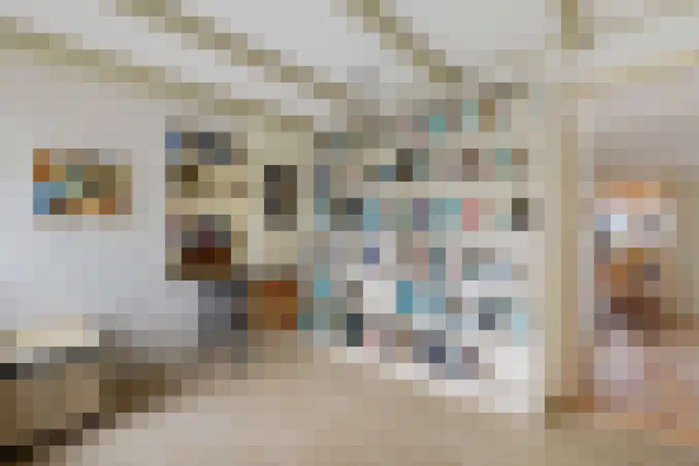 Torenstraat 42 Ezinge thumbnail 13