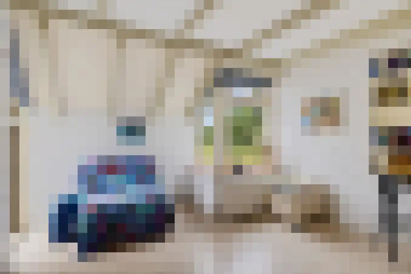 Torenstraat 42 Ezinge thumbnail 14