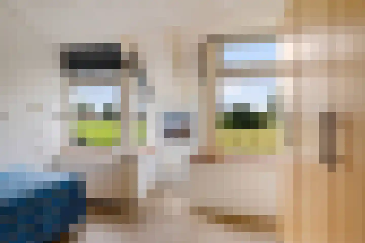 Torenstraat 42 Ezinge thumbnail 15