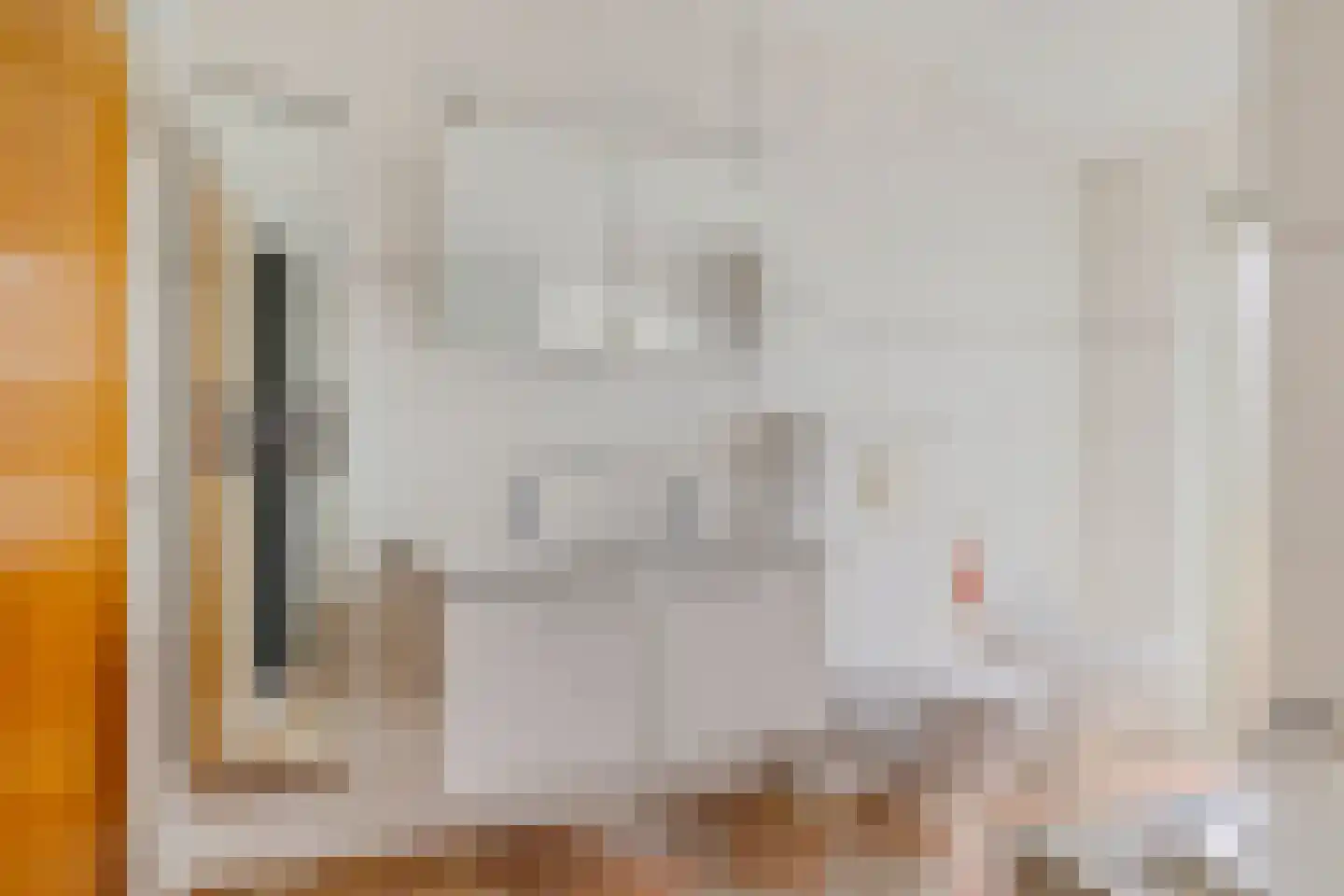 Torenstraat 42 Ezinge thumbnail 21
