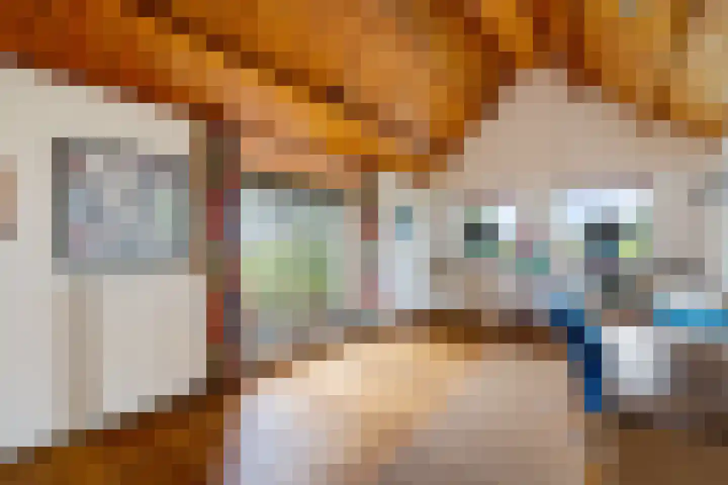 Torenstraat 42 Ezinge thumbnail 22