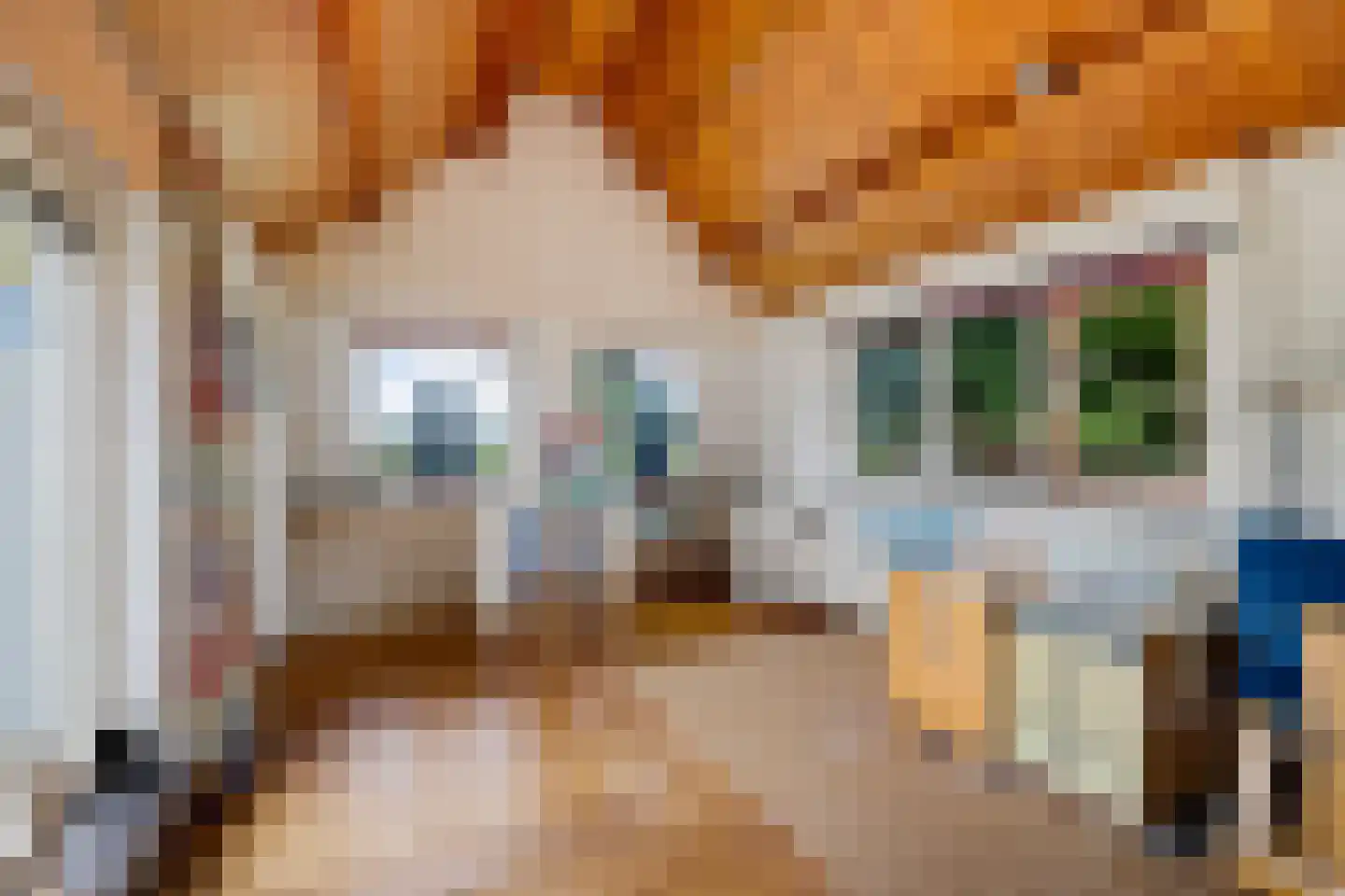 Torenstraat 42 Ezinge thumbnail 23