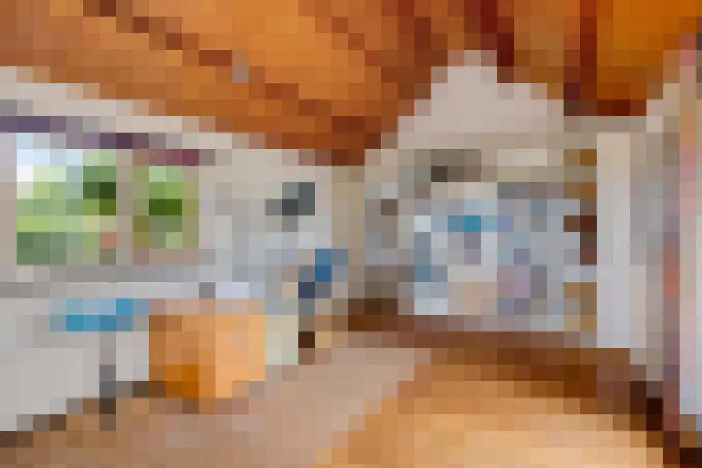 Torenstraat 42 Ezinge thumbnail 24