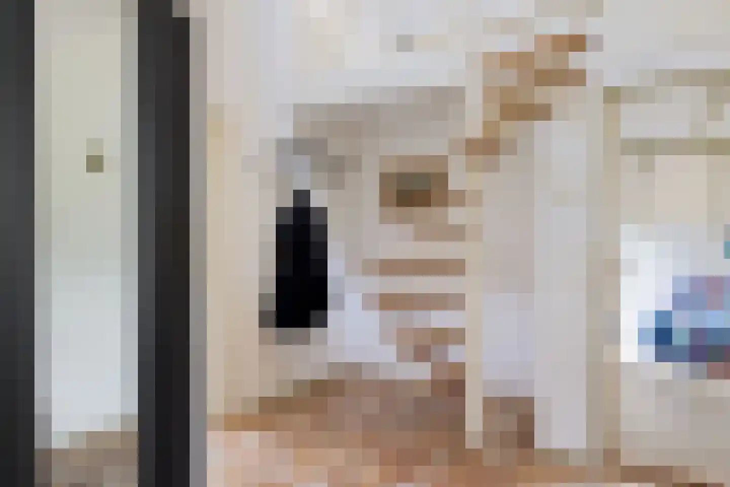 Torenstraat 42 Ezinge thumbnail 25