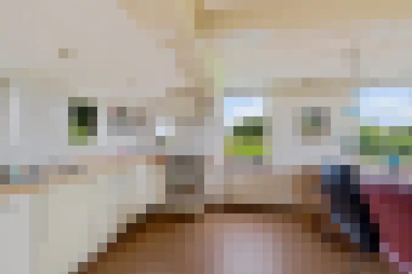 Torenstraat 42 Ezinge thumbnail 27