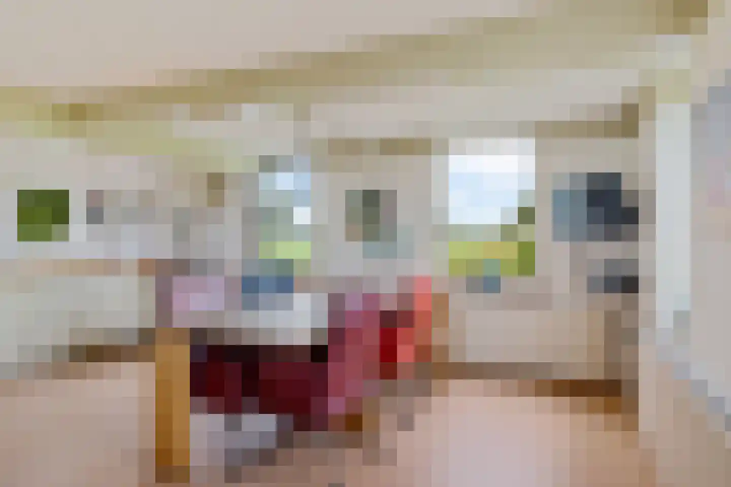Torenstraat 42 Ezinge thumbnail 30