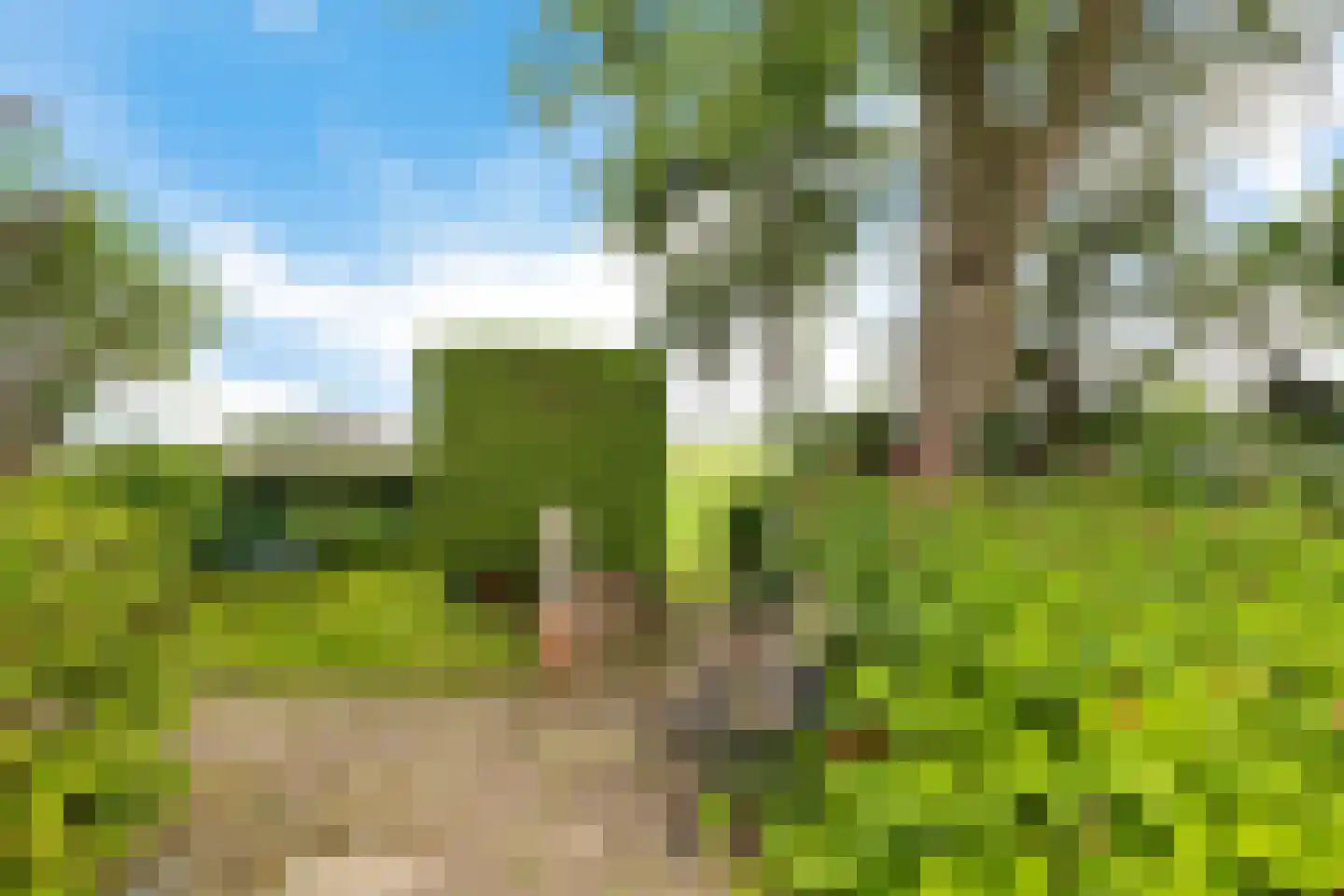 Torenstraat 42 Ezinge thumbnail 39