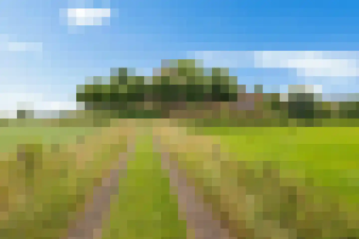 Torenstraat 42 Ezinge thumbnail 40