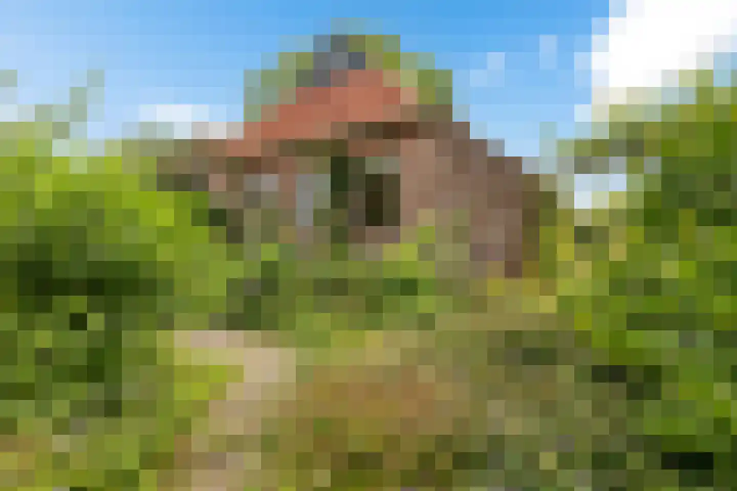 Torenstraat 42 Ezinge thumbnail 46