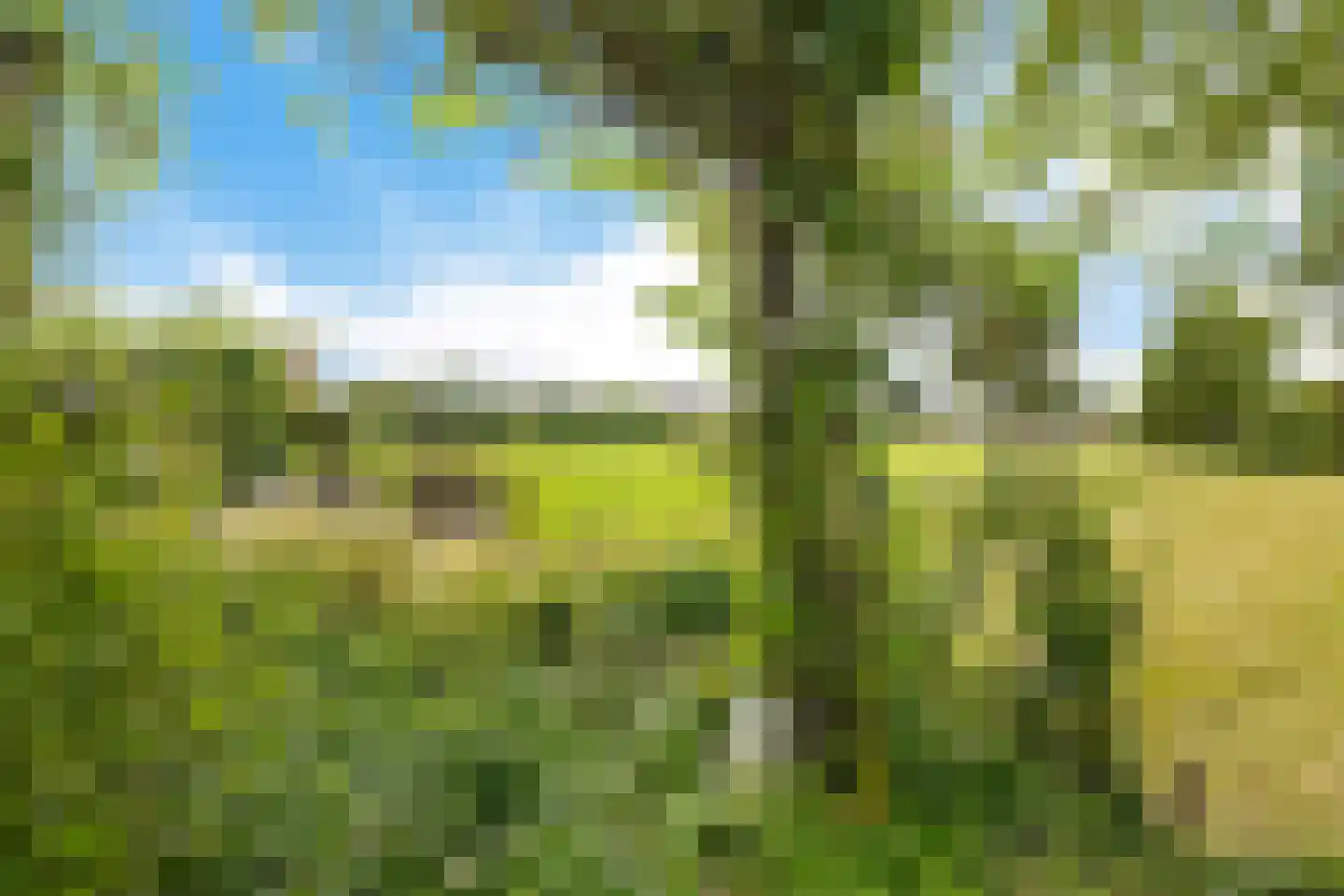 Torenstraat 42 Ezinge thumbnail 47