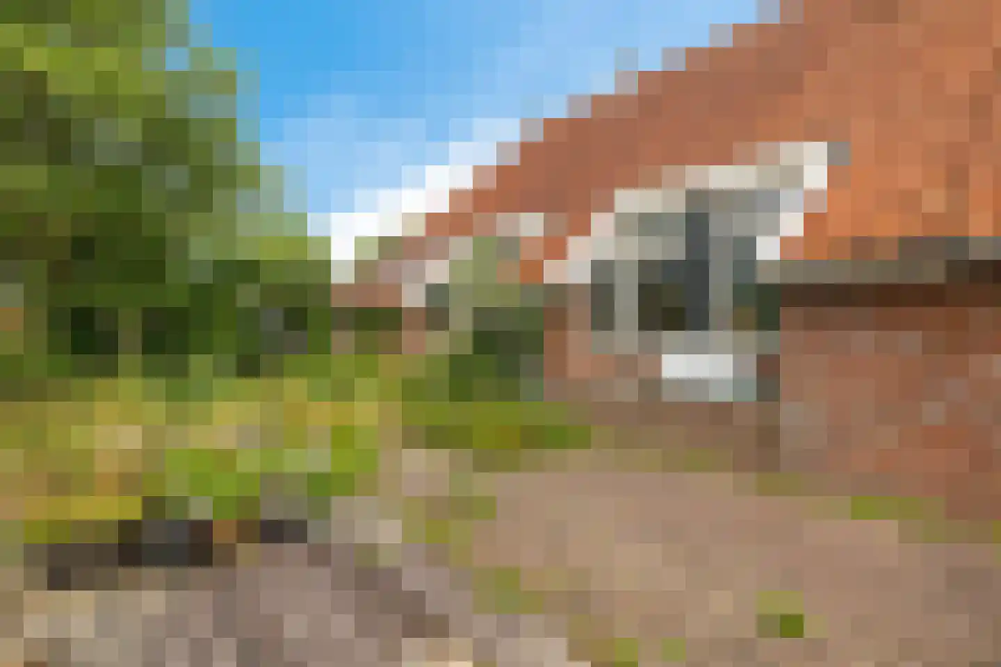 Torenstraat 42 Ezinge thumbnail 48