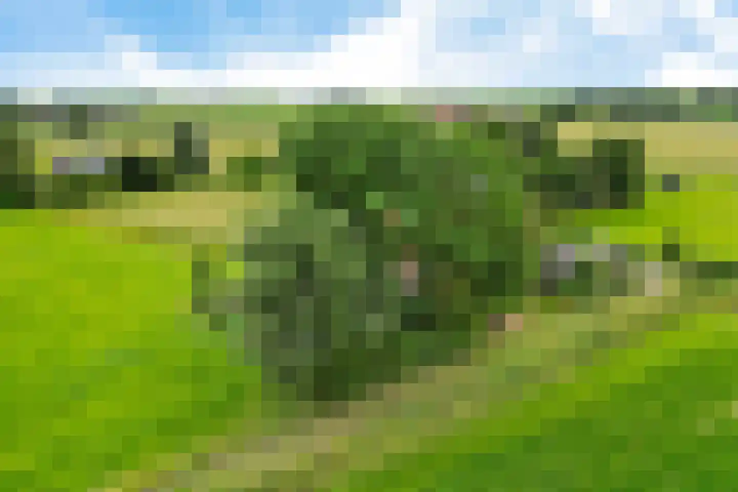 Torenstraat 42 Ezinge thumbnail 49