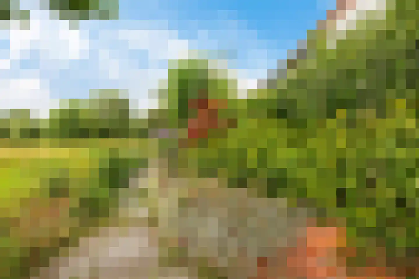 Torenstraat 42 Ezinge thumbnail 5