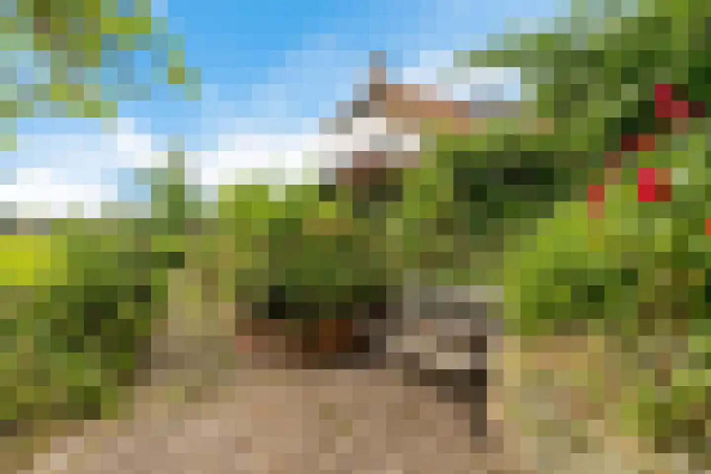 Torenstraat 42 Ezinge thumbnail 6
