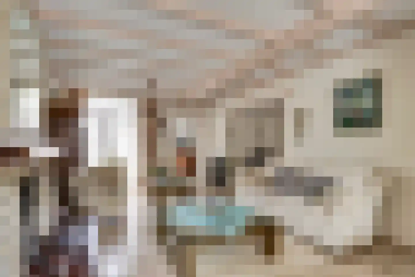 Torenstraat 43 Oosterhout thumbnail 4
