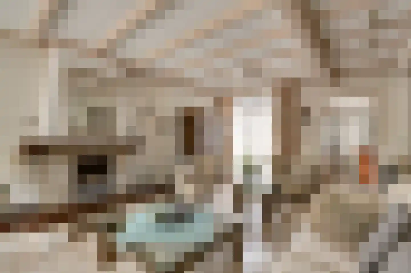 Torenstraat 43 Oosterhout thumbnail 5