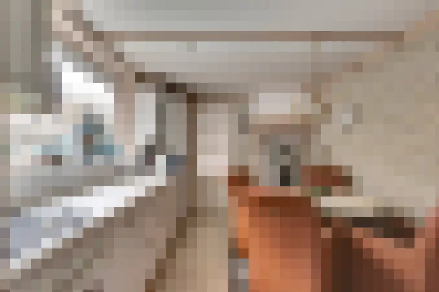 Torenstraat 43 Oosterhout thumbnail 8