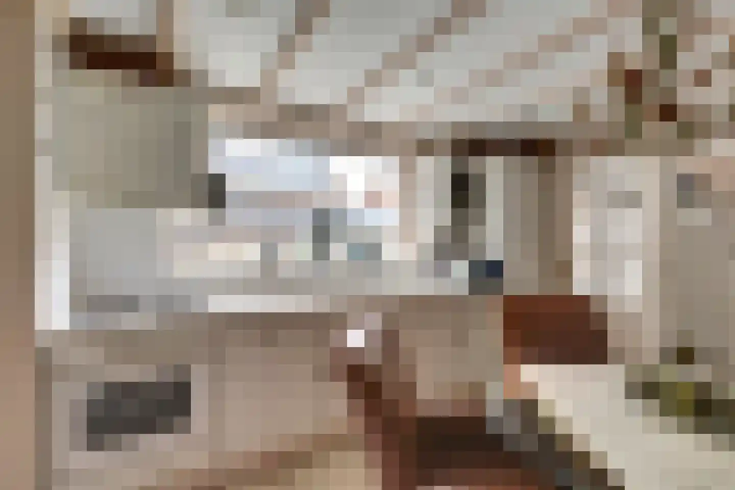 Torenstraat 43 Oosterhout thumbnail 9