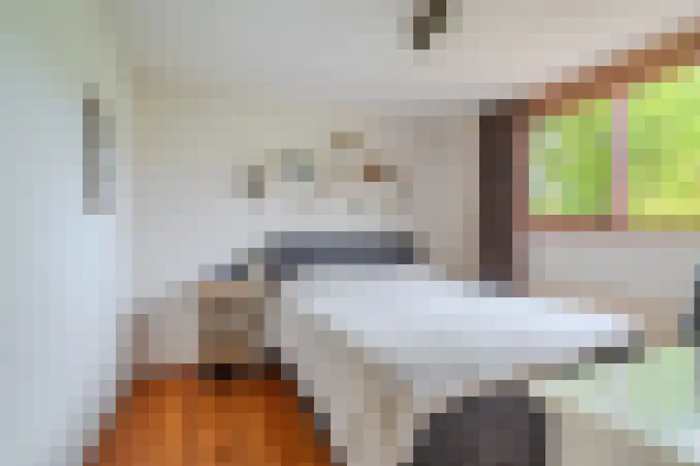 Torenstraat 43 Uithuizermeeden thumbnail 18
