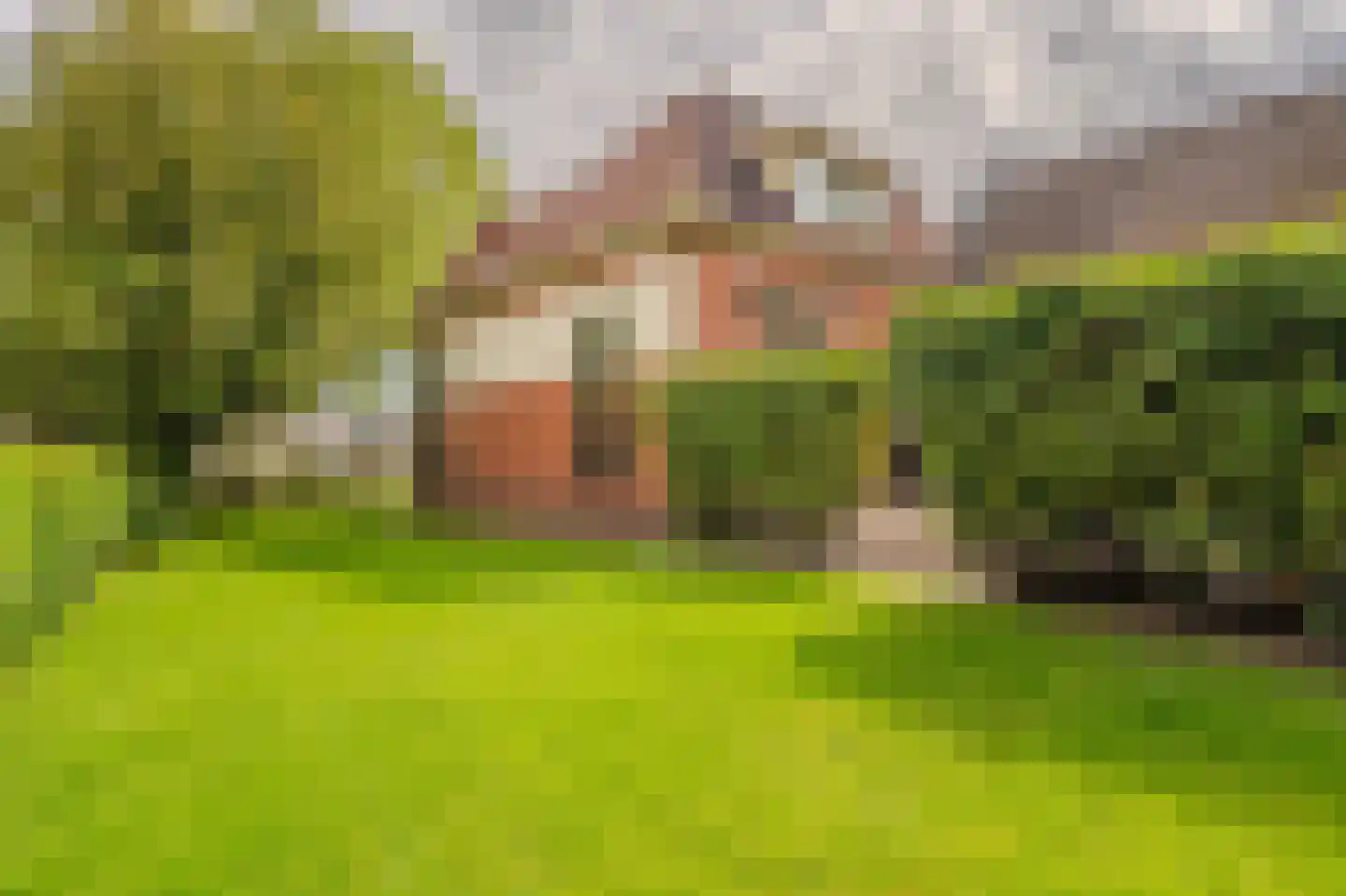 Torenstraat 43 Uithuizermeeden thumbnail 41