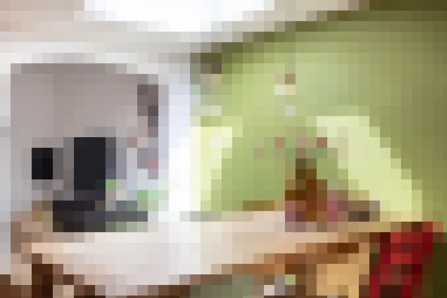 Torenstraat 45 Dongen thumbnail 16
