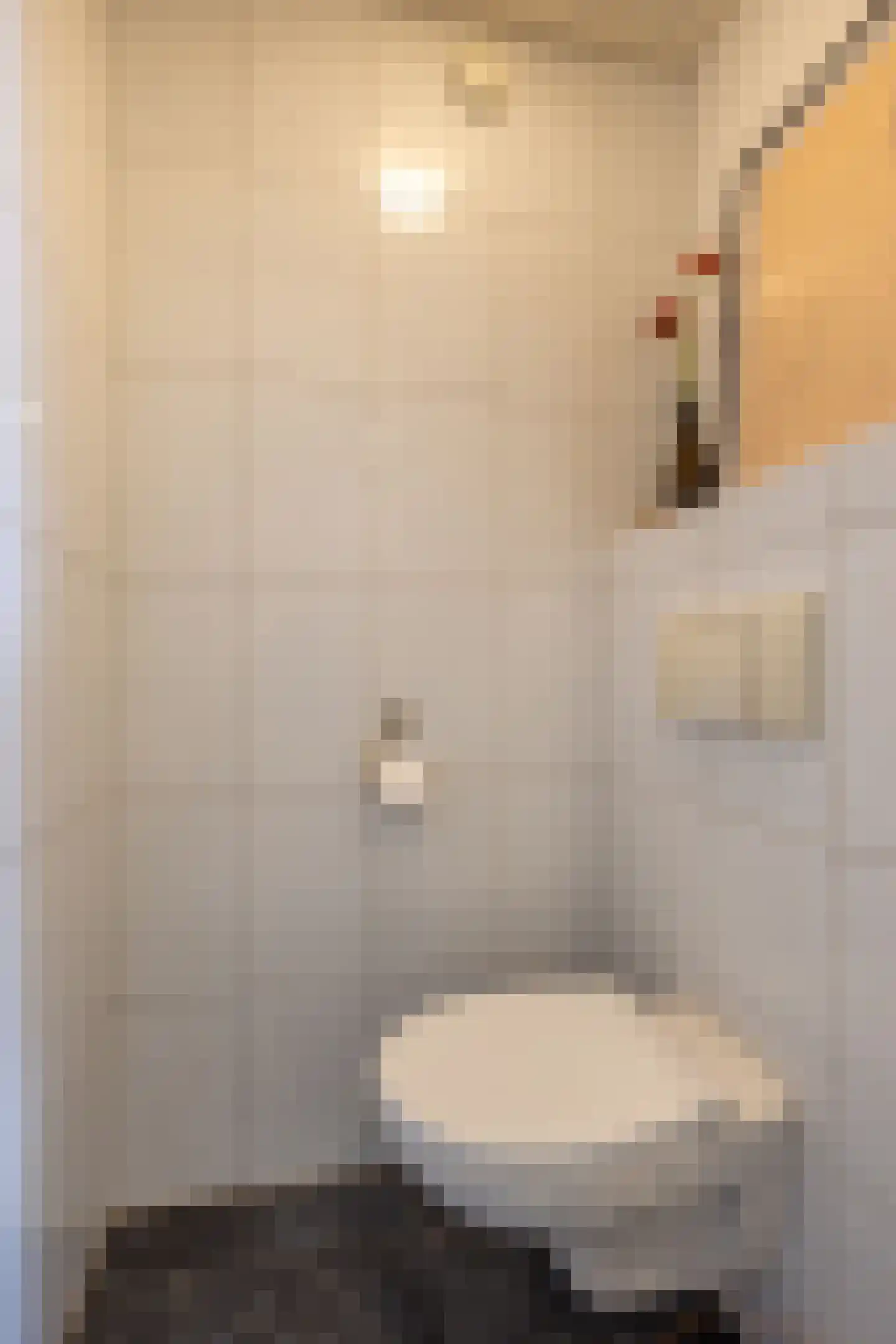 Torenstraat 45 Dongen thumbnail 17