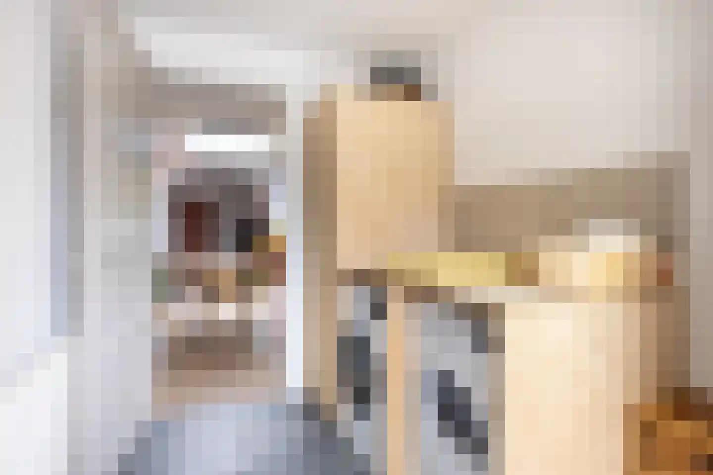 Torenstraat 45 Dongen thumbnail 23