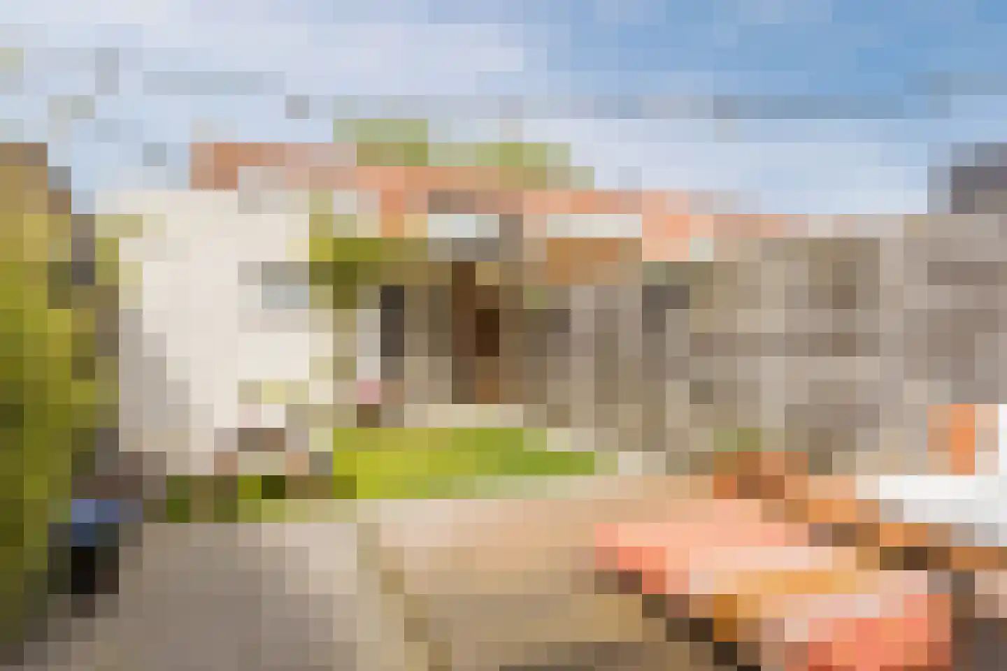 Torenstraat 45 Dongen thumbnail 30