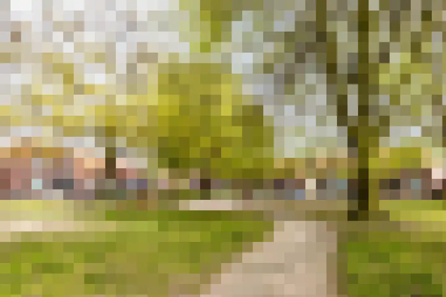 Torenstraat 45 Dongen thumbnail 33