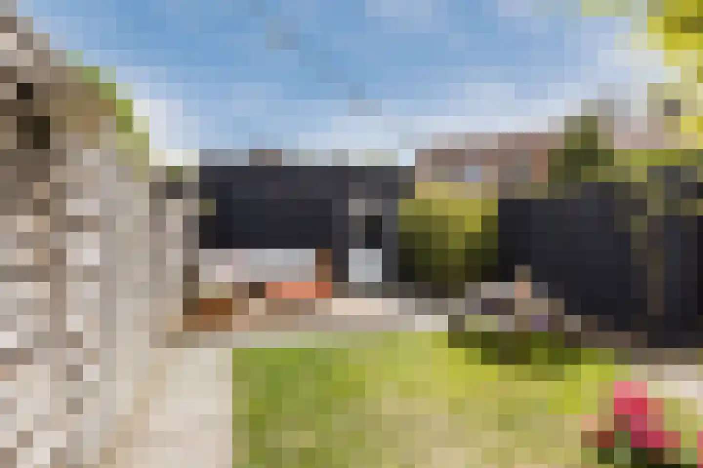 Torenstraat 45 Dongen thumbnail 4