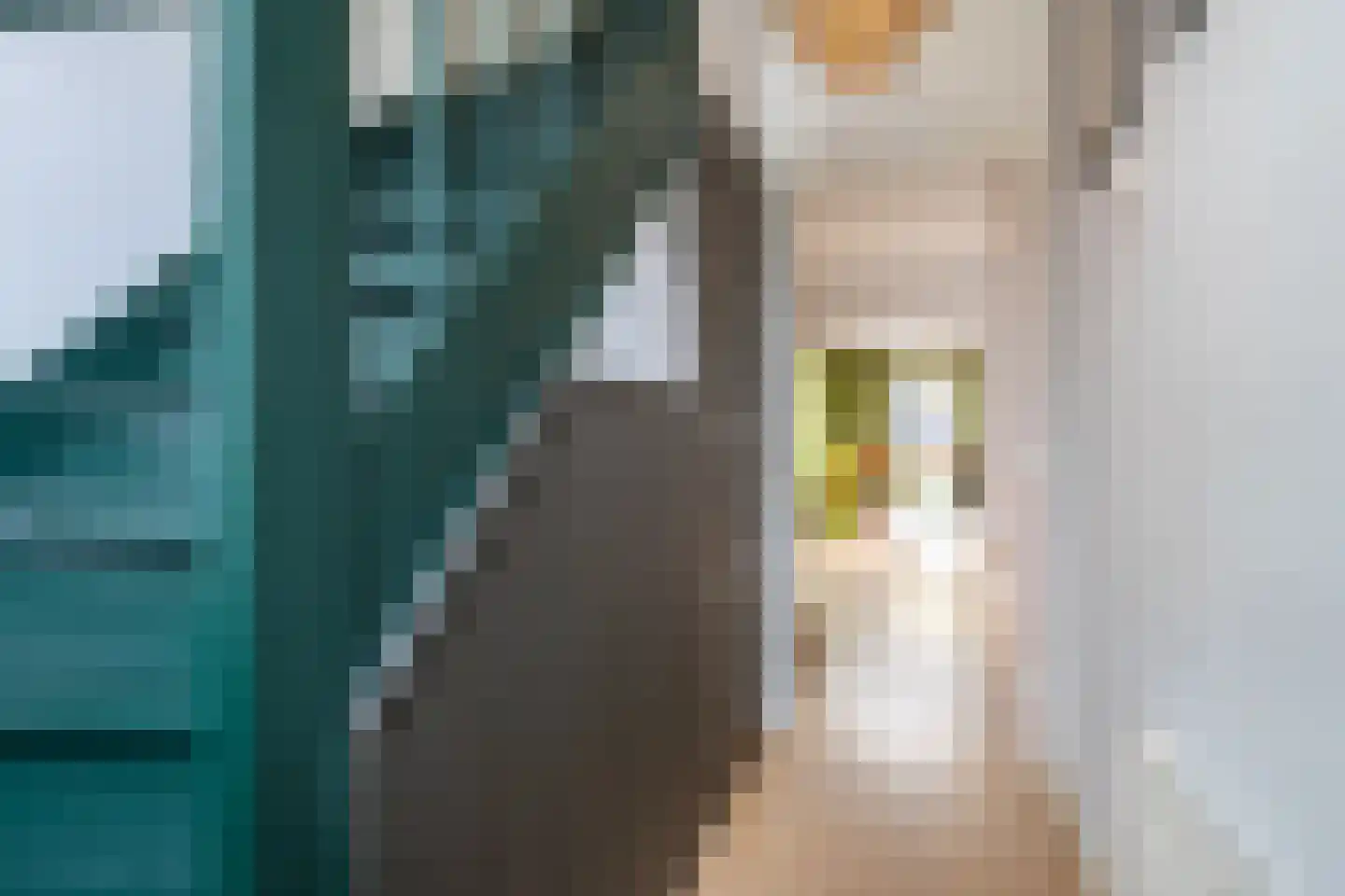 Torenstraat 45 Dongen thumbnail 8