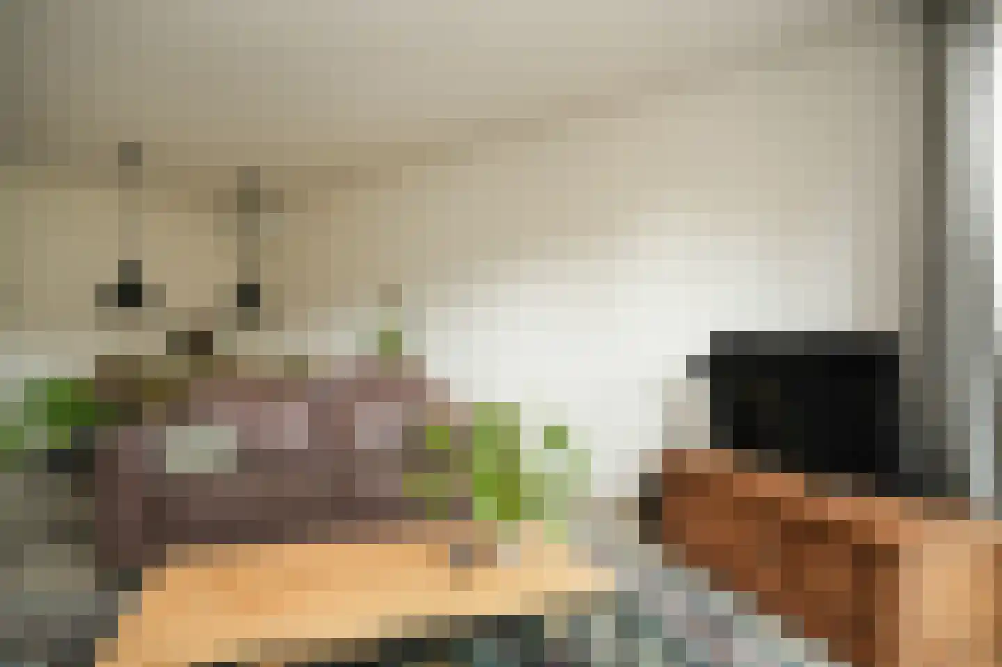 Torenstraat 45 Heukelum thumbnail 17