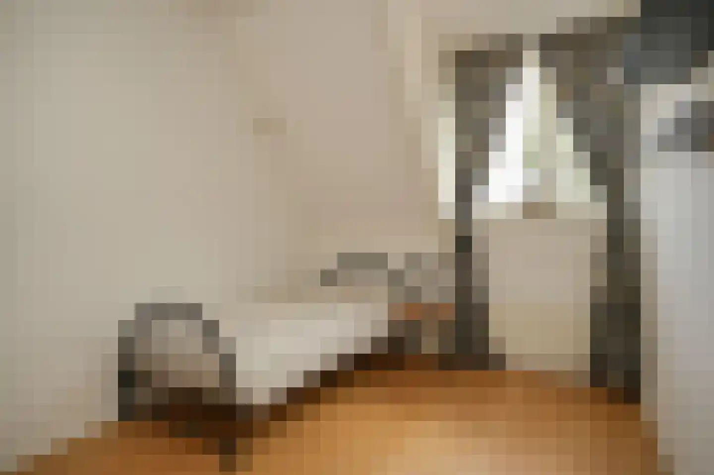 Torenstraat 45 Heukelum thumbnail 19