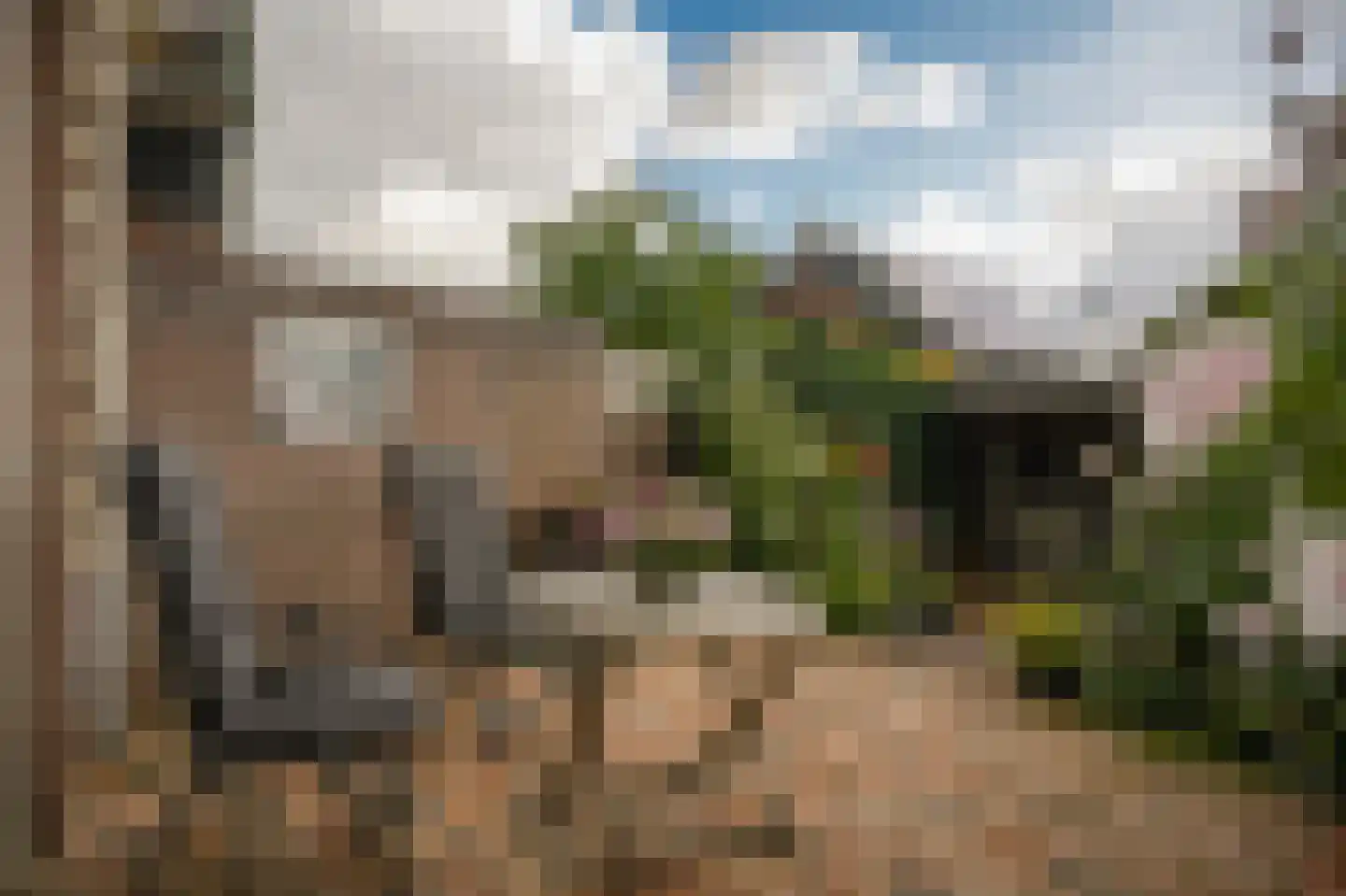 Torenstraat 45 Heukelum thumbnail 23